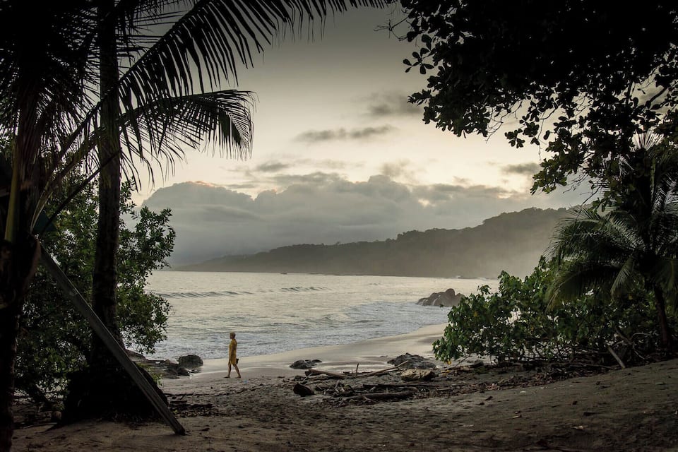 A beach with palm trees and a person walking.