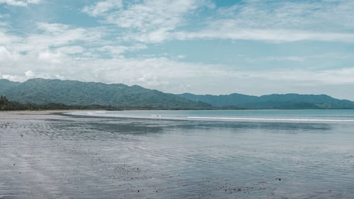 Tide out on the empty Bahia Ballena with no people on a sunny day near Montezuma, on the Pacific coast of Costa Rica