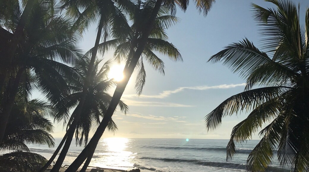 The ocean view rooms at the Tango Mar hotel give a great view of sunrise #lifeatexpedia