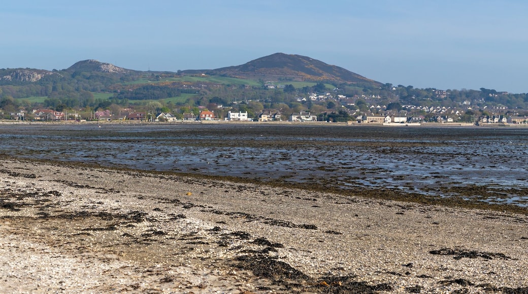 Panorama with Howth and Sutton beach
