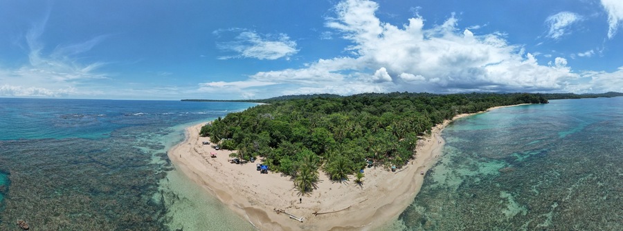 Una isla tropical con una playa arenosa, un bosque verde frondoso y aguas azules cristalinas.