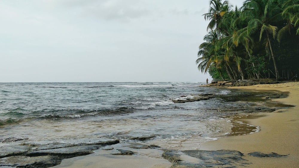 The beautiful #beach of Manzanillo.
