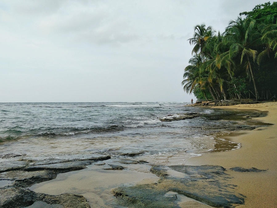 The beautiful #beach of Manzanillo.