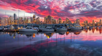 Coal Harbor at Sunset
