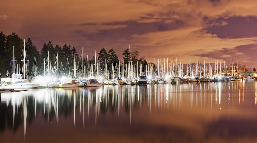 yachts in Coal Harbour Vancouver British Columbia Canada