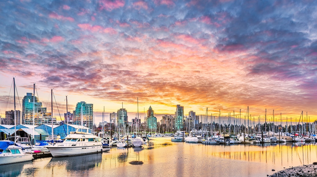 Coal Harbor at Sunset