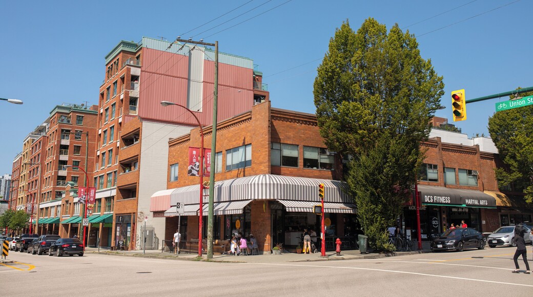 Vancouver_Strathcona_6229306_03