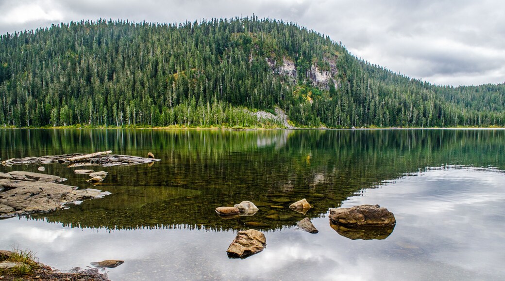 A calm lake with clear reflections, surrounded by dense forest and rocky shores.