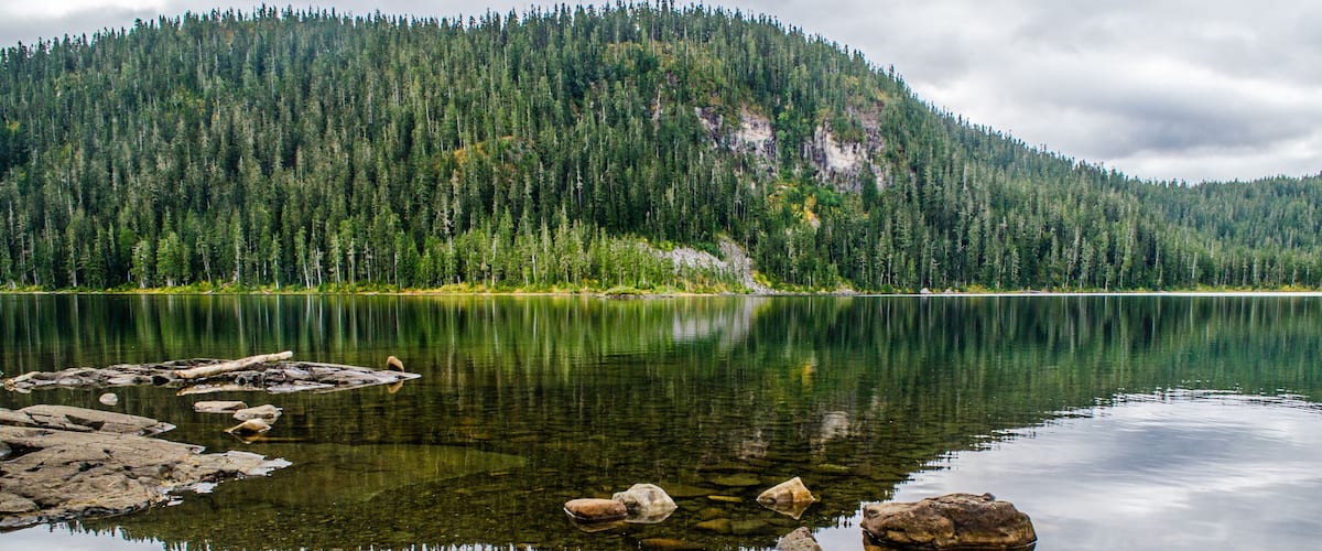 Lake Helen macKenzie, Strathcona National Park, vancouver Island BC, reflections of tree line