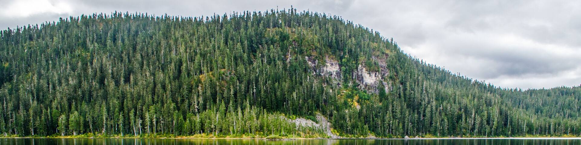 Lake Helen macKenzie, Strathcona National Park, vancouver Island BC, reflections of tree line