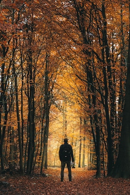 Autumn in Hareskoven, just north of Copenhagen.
#golden