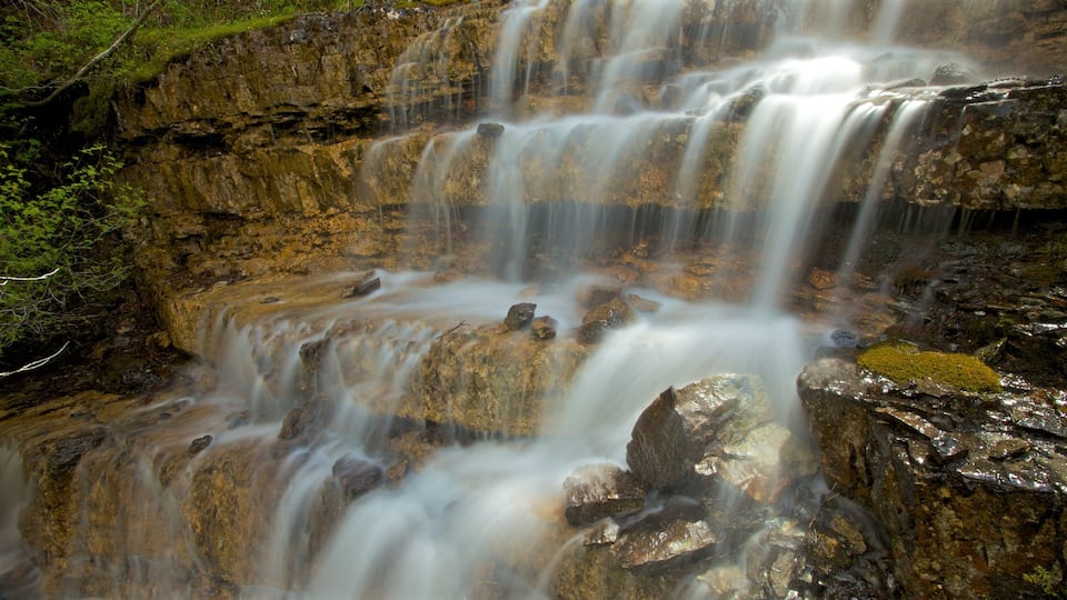 A multi-tiered waterfall cascading over rocky terrain with moss-covered rocks and lush greenery.