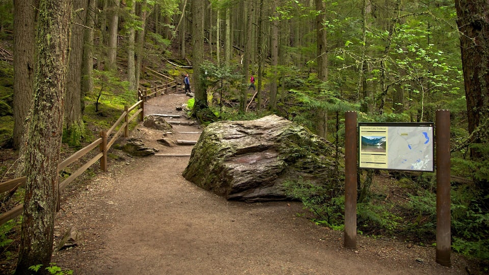 A forested trail with wooden steps leading up a hill, surrounded by trees and a large rock.