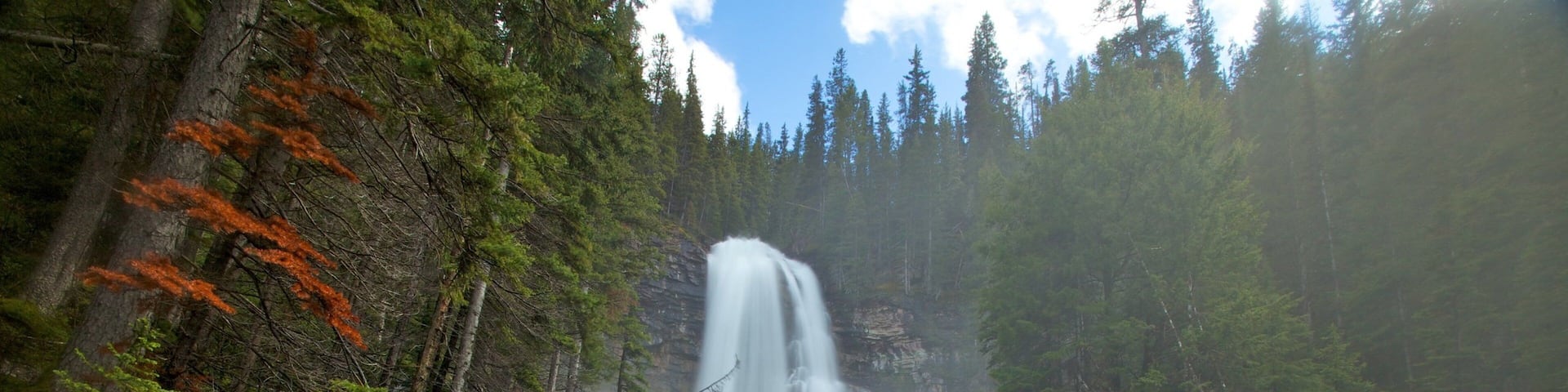 Glacier National Park featuring a waterfall, a river or creek and forest scenes