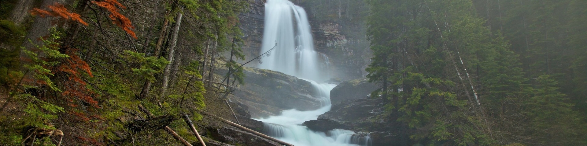冰河國家公園 其中包括 河流或小溪, 小瀑布 和 森林風景