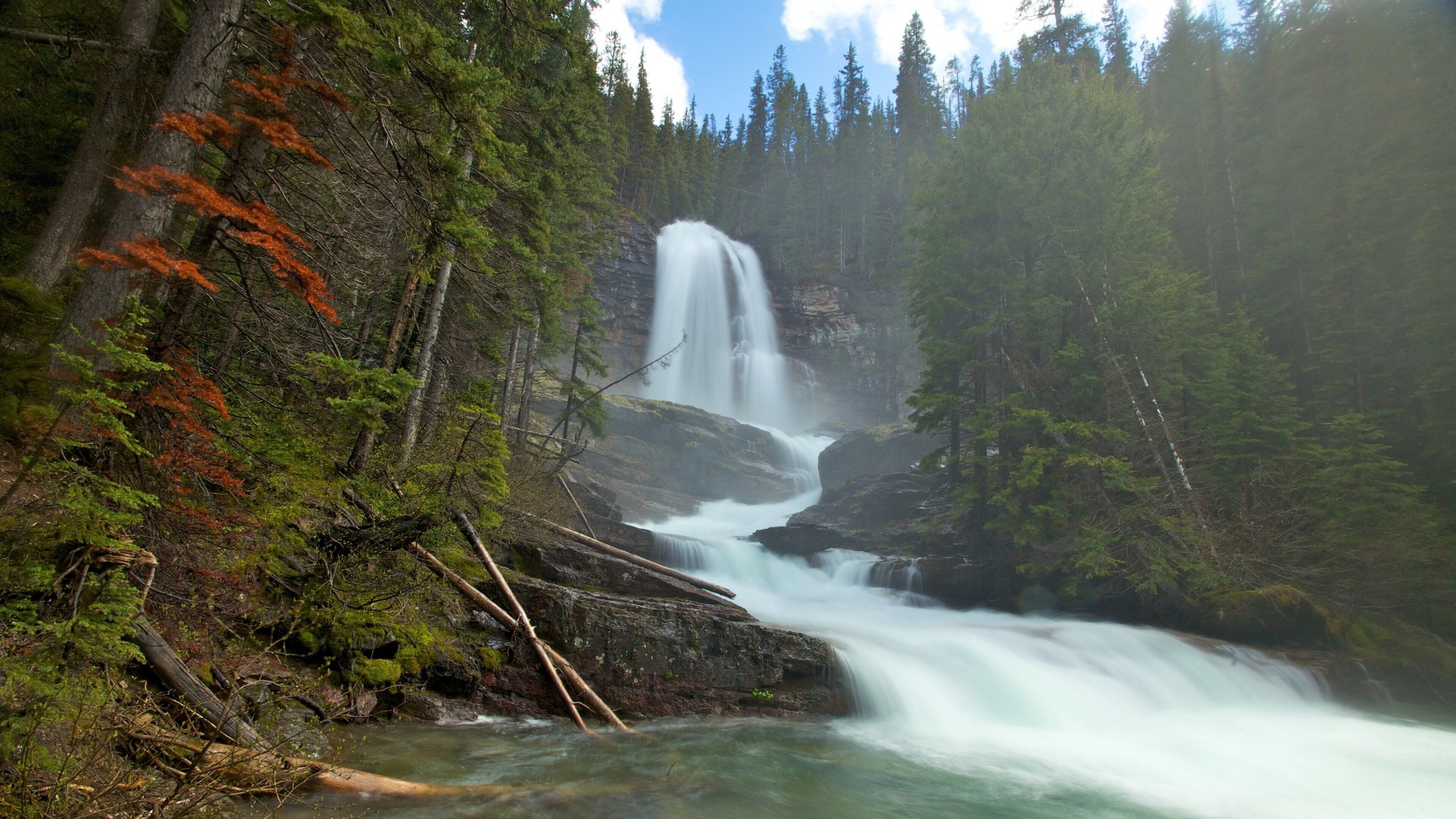 A waterfall cascading down a rocky cliff surrounded by dense forest.