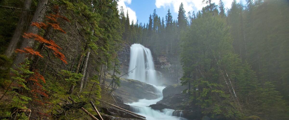 A waterfall cascading down a rocky cliff surrounded by dense forest.