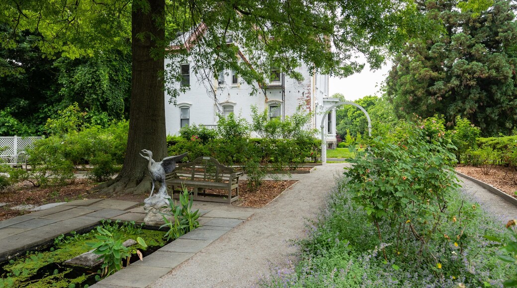 Snug Harbor Cultural Center and Botanical Garden showing a garden