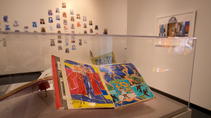 Montclair Art Museum which includes interior views and art