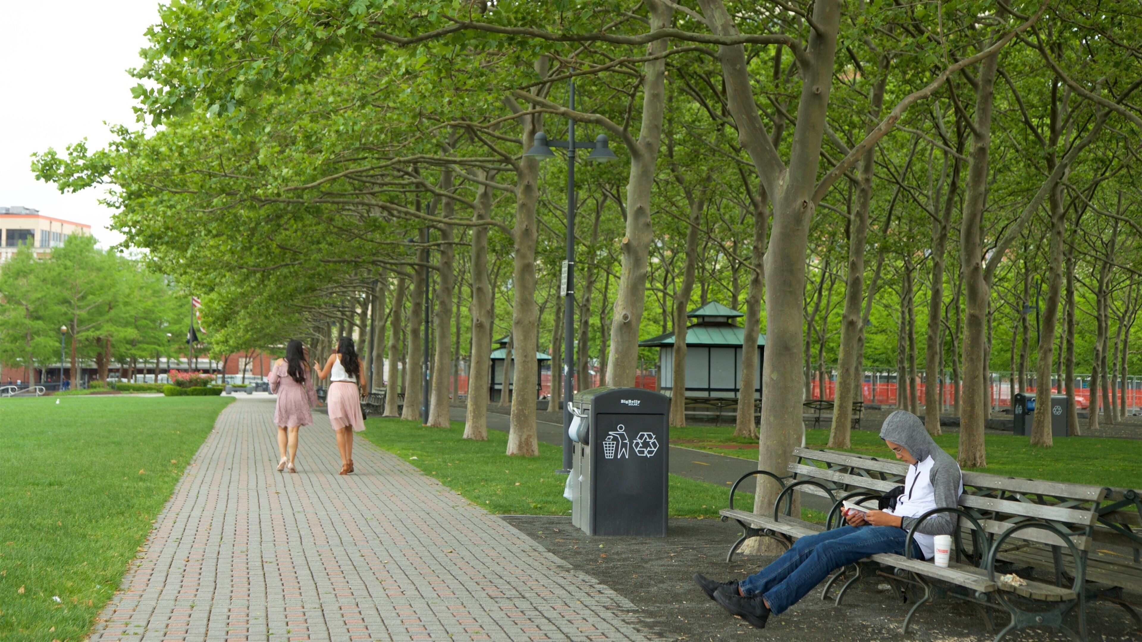 Pier A Park showing street scenes and a garden as well as a couple