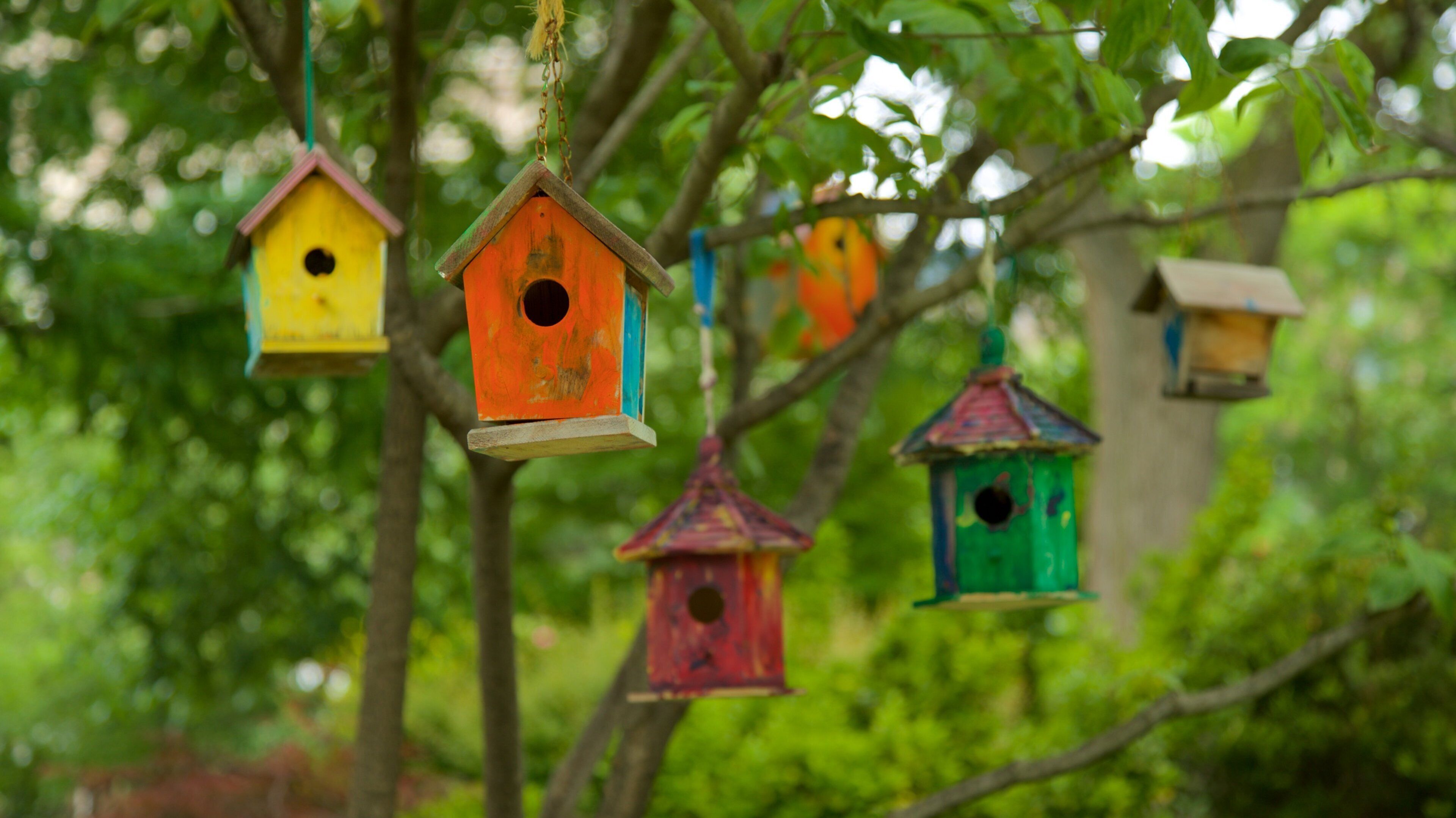 Van Vorst Park featuring outdoor art and a park