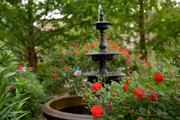 Van Vorst Park which includes wild flowers, a garden and a fountain