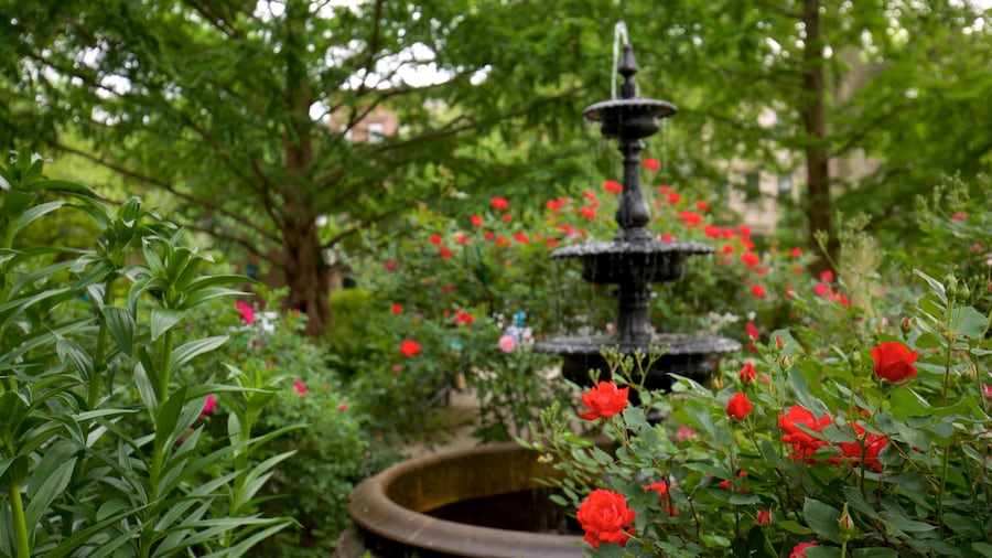 Van Vorst Park featuring a fountain, wild flowers and a park