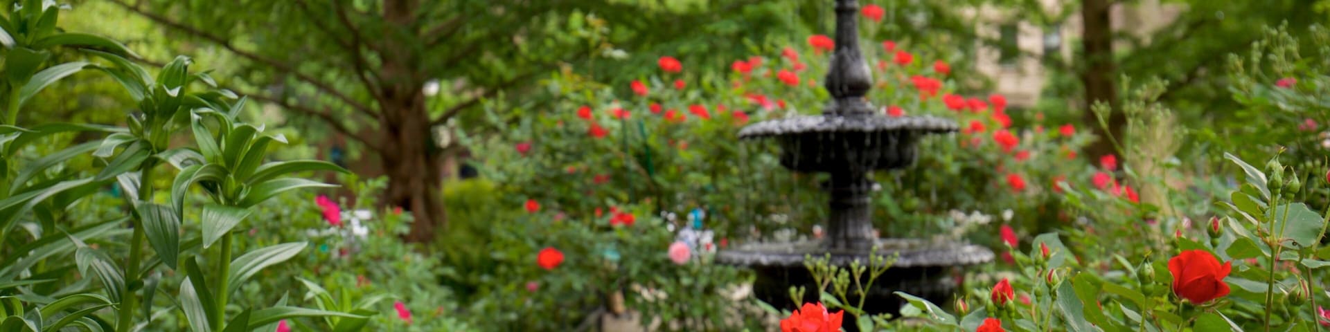 Van Vorst Park que inclui flores silvestres, uma fonte e um jardim