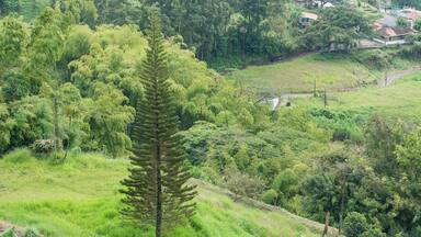 beautiful landscape in the colombian coffee region near the city of Pereira-Colombia. rural area in south america. biodiversity.