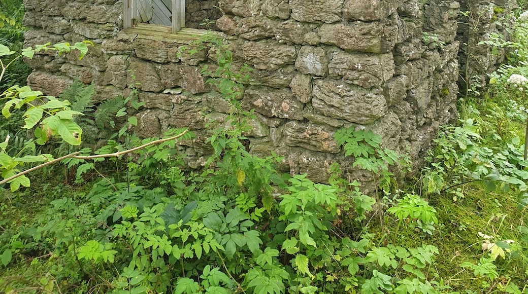 Derelict summerhouse in the alpine garden