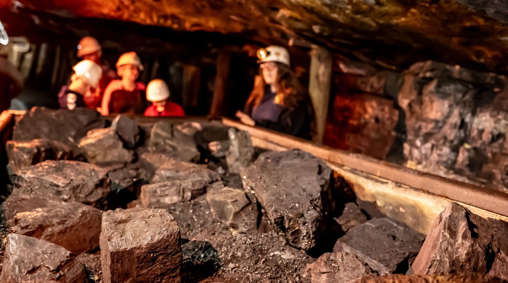 Lackawanna Coal Mine Tour