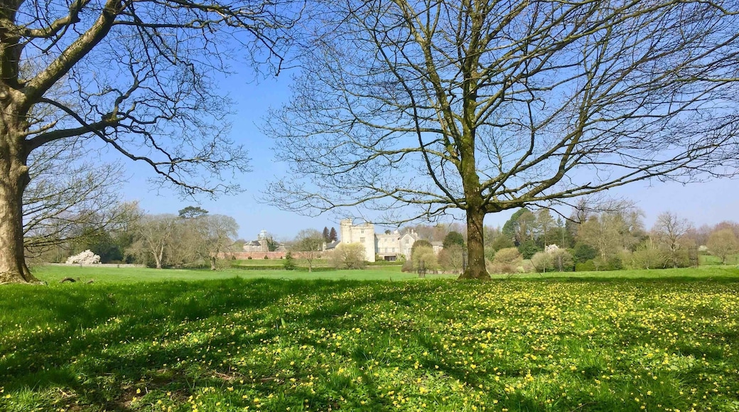 National Trust property on the outskirts of Kendal. Beautiful gardens and a Wild Trail for children in extensive woodland. Good starting point for numerous walks.