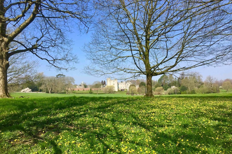 Un parque con un gran árbol, un campo de narcisos y un castillo al fondo.
