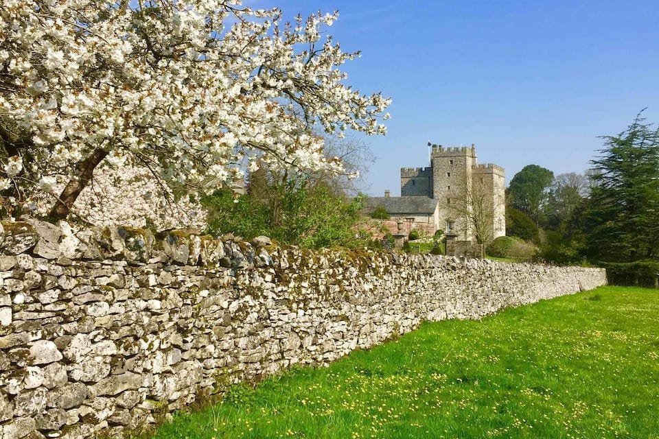 Un muro de piedra, un árbol en flor y un castillo al fondo.