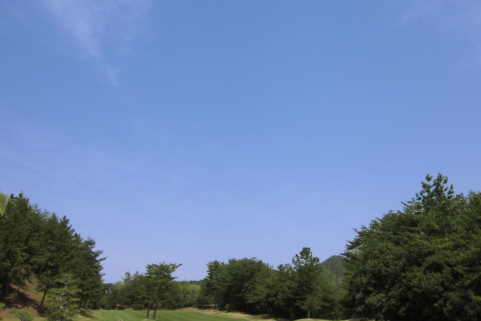 A golf course with a clear blue sky, green grass, and trees.