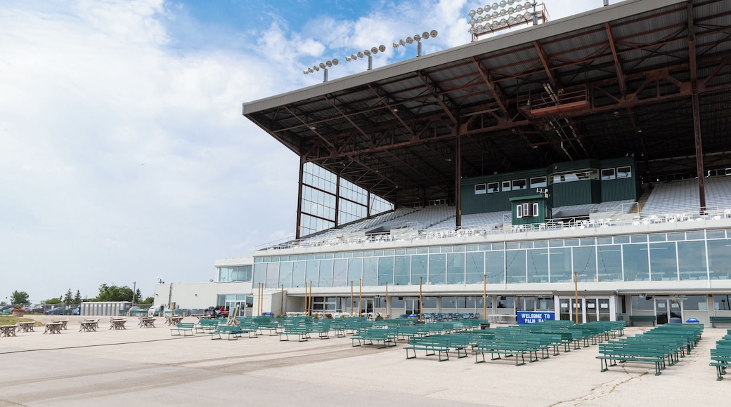 Assiniboia Downs