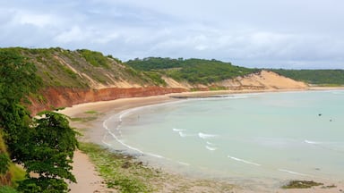 Baia Formosa featuring a sandy beach and general coastal views