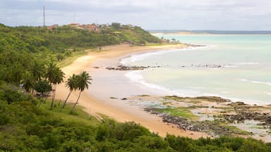 Baia Formosa which includes general coastal views and a beach