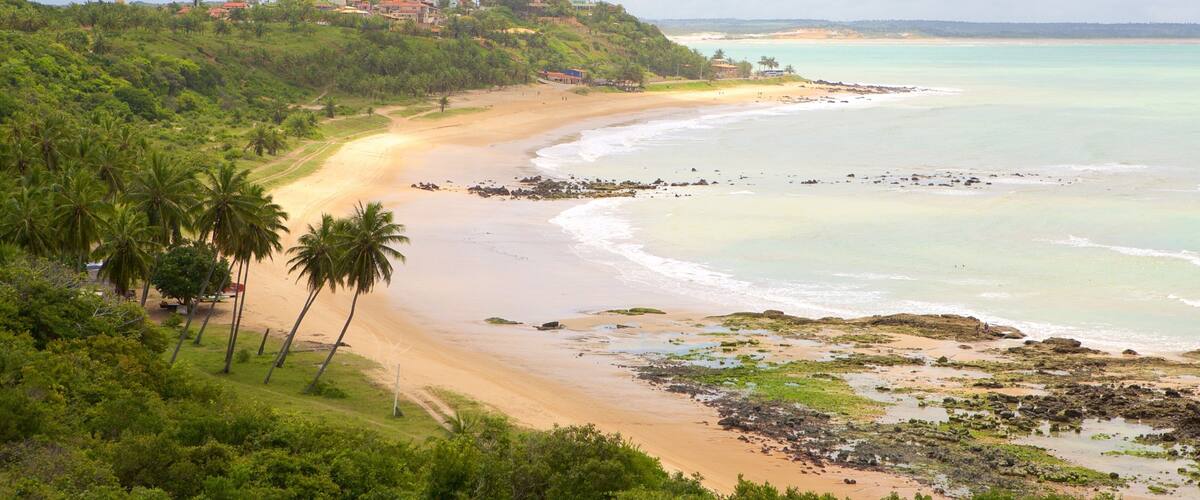 A coastal landscape with a sandy beach, palm trees, and a backdrop of hills with buildings.
