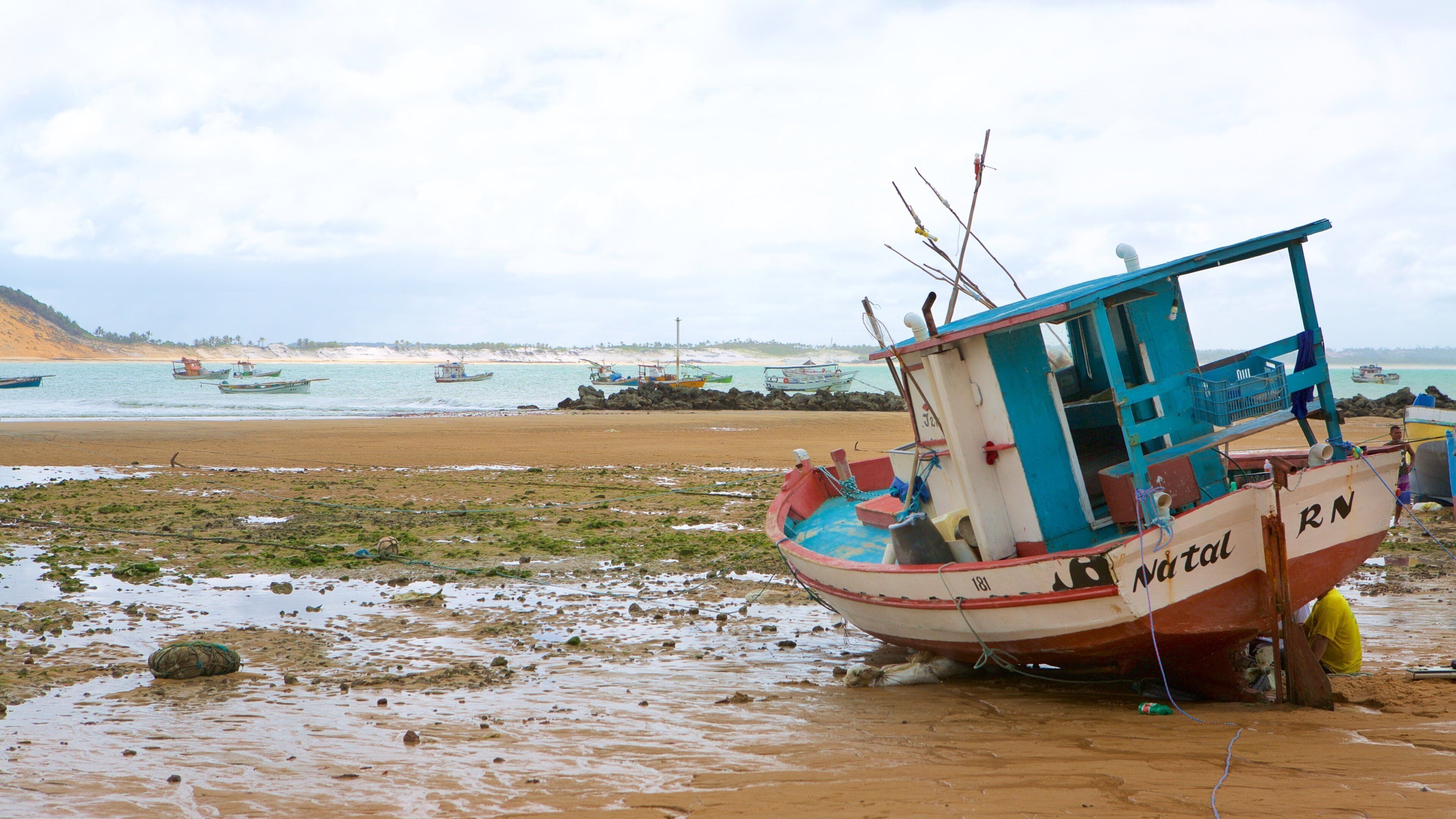 Bahía Formosa ofreciendo paseos en lancha, una playa y vistas generales de la costa