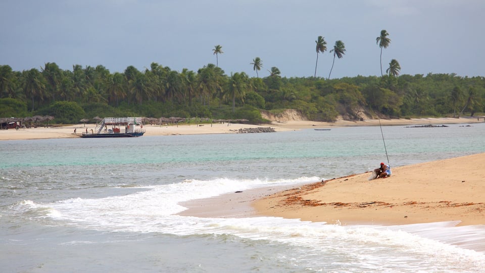 A beach with a boat, palm trees, and a sandy shore.