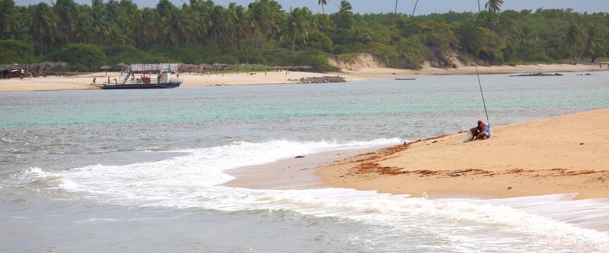 A beach with a boat, palm trees, and a sandy shore.