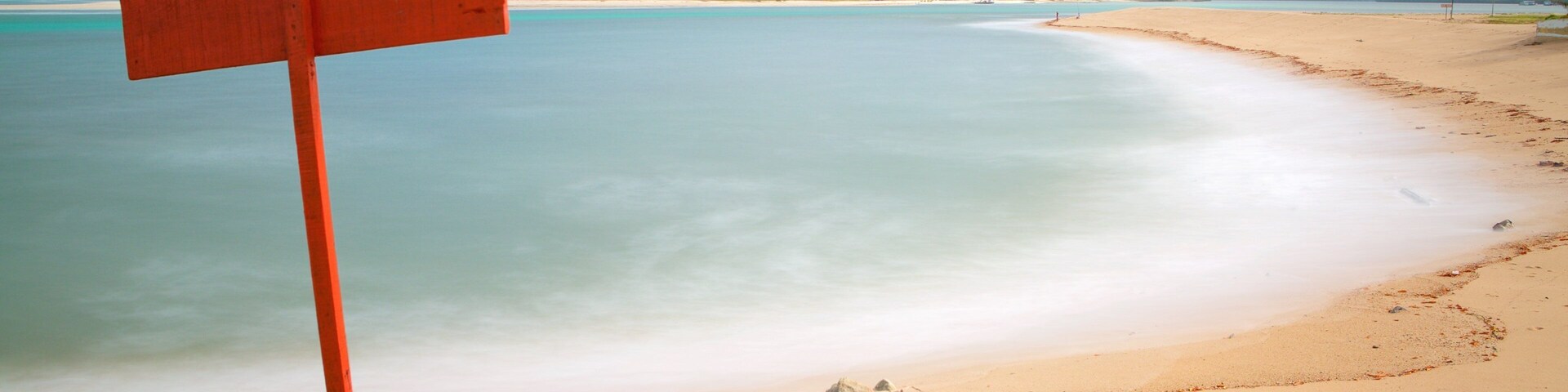 Barra do Cunhau que incluye una playa de arena, vista general a la costa y costa rocosa