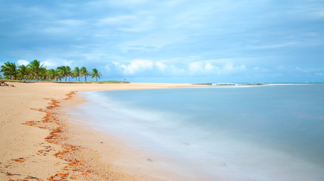 Barra do Cunhau which includes general coastal views, landscape views and a beach