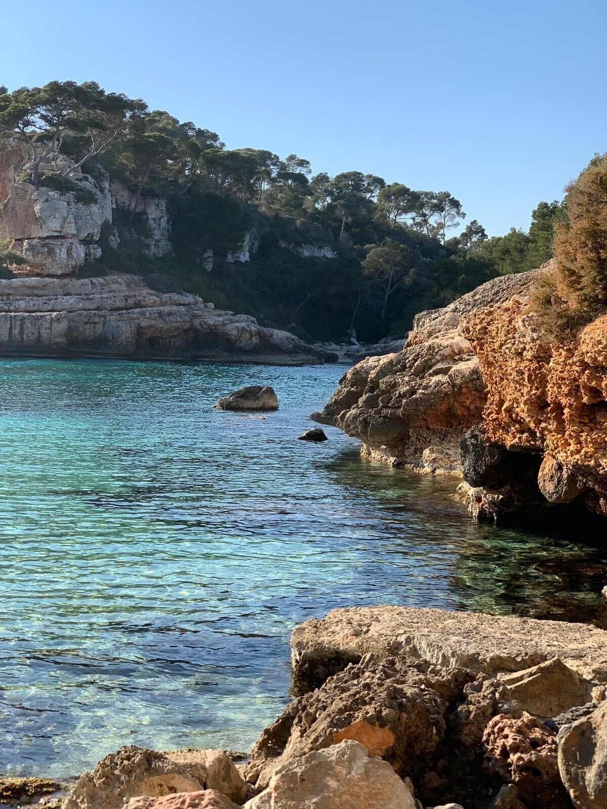 A coastal landscape with clear turquoise waters, rocky formations, and dense green trees on a cliff.