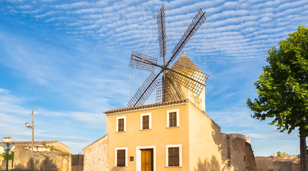 Windmill in Llubi (Mallorca)
