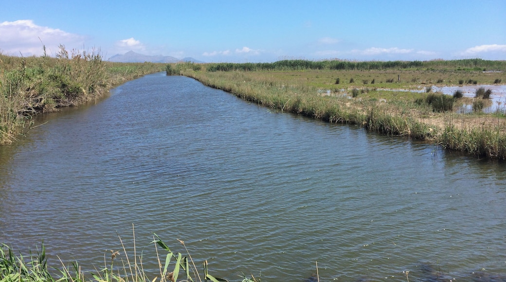 Nationalpark Alcudia Mallorca
