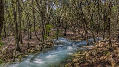 Ses Fonts Ufanes, a Nature preserve with natural water coming from the ground, landmark with spectacular nature near the village of Sa Pobla, on the balearic island of mallorca, spain