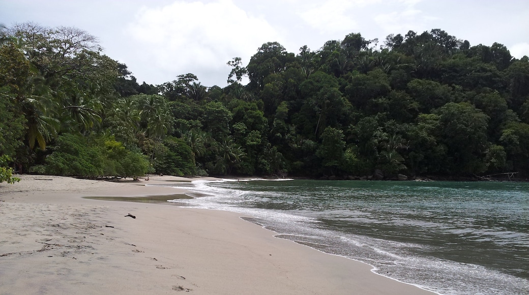 Caption---- Manuel Antonio beach in Costa RIca