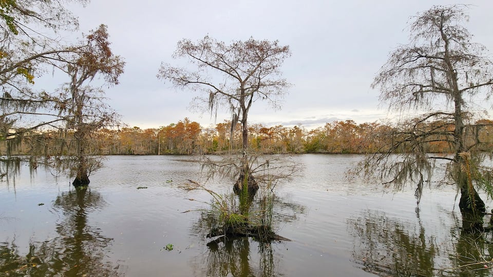 A calm lake surrounded by trees with autumn foliage.